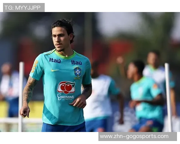 厄瓜多尔足球队的辉煌历程与未来展望分析